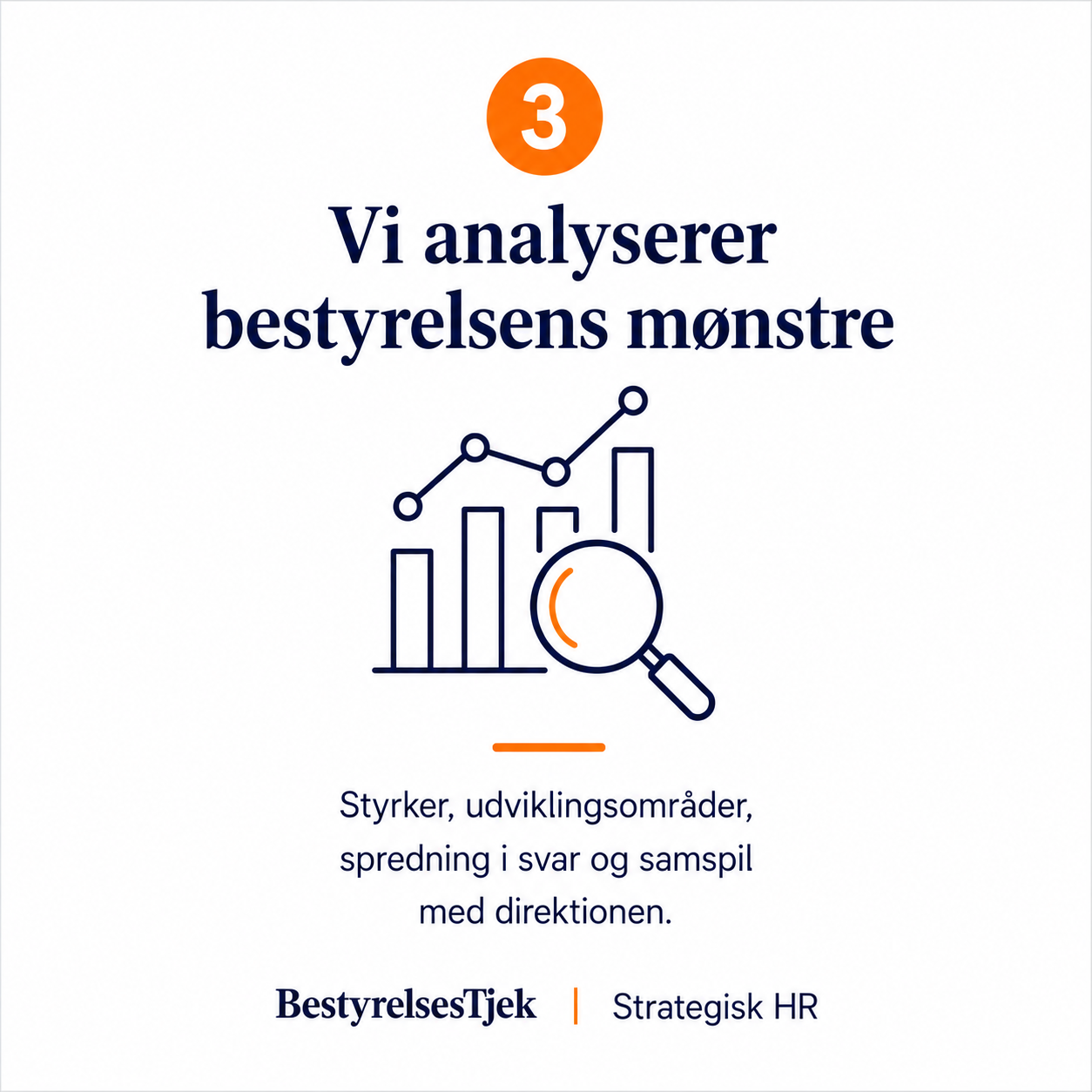 bestyrelsestjek og analyse