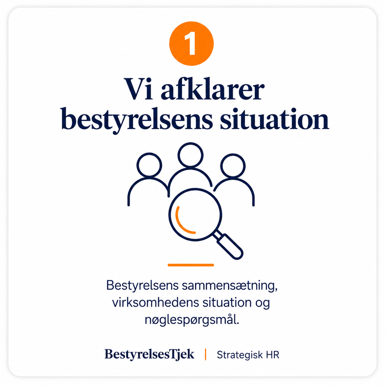 bestyrelsestjek og analyse