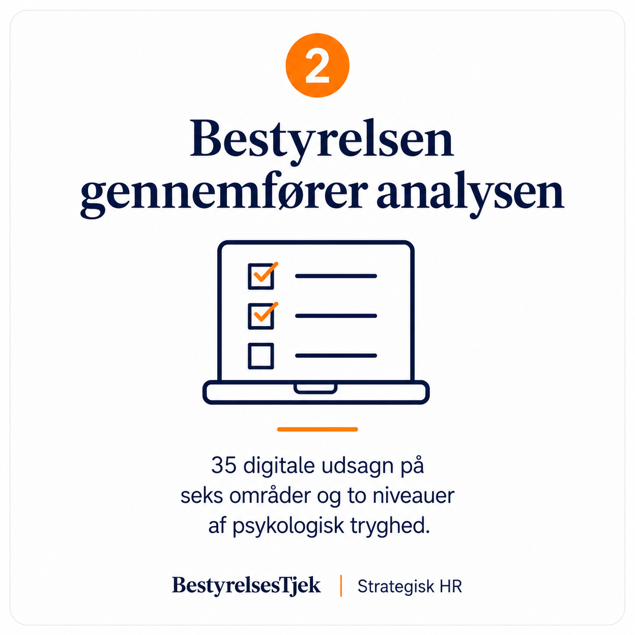 bestyrelsestjek og analyse