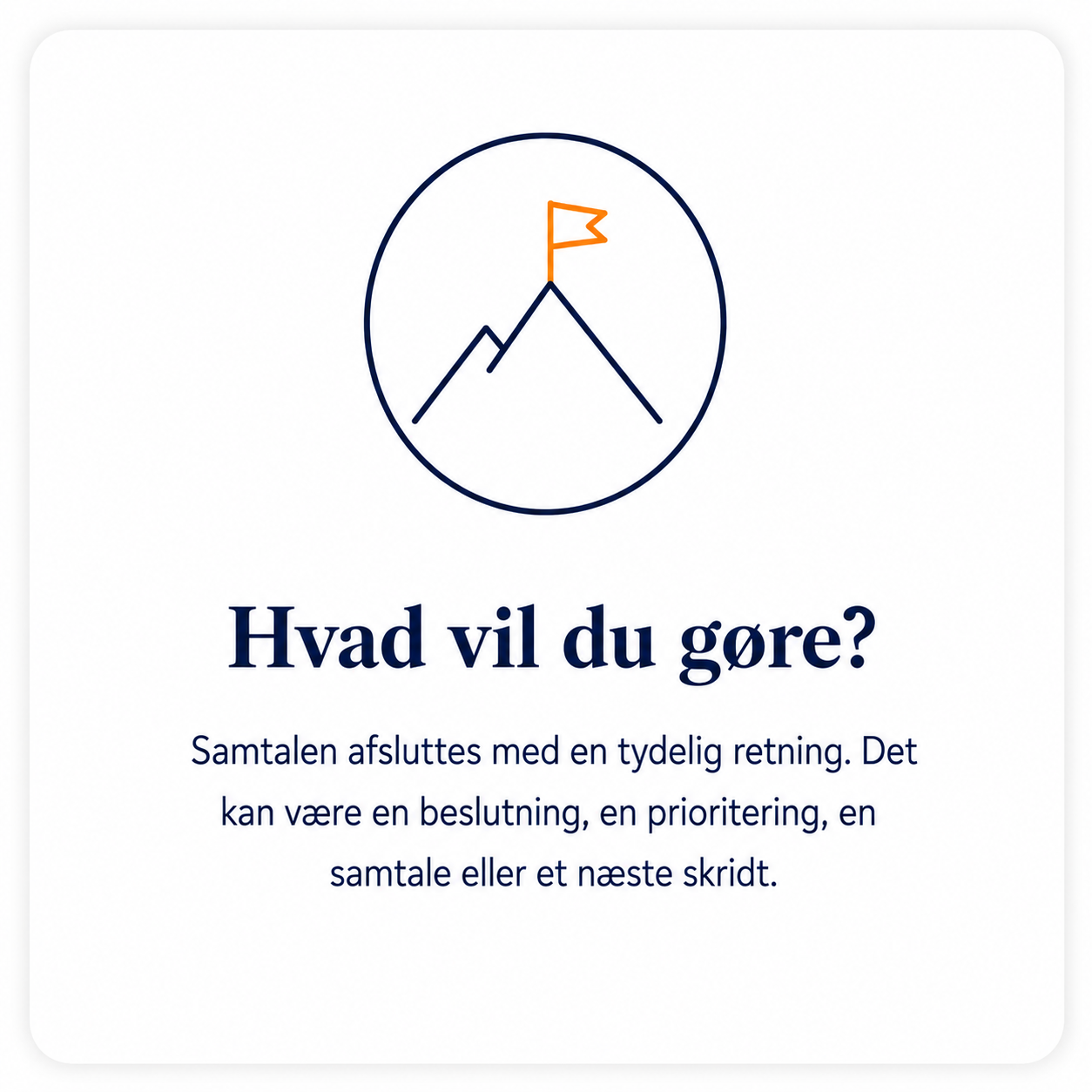 Beslutnings- og eksekveringskraft